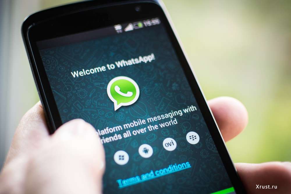 Уже есть отечественная замена WhatsApp