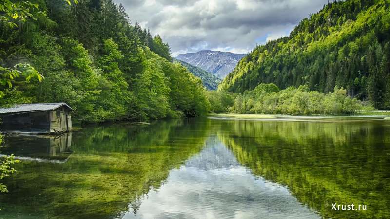 Самые популярные обои для рабочего стола