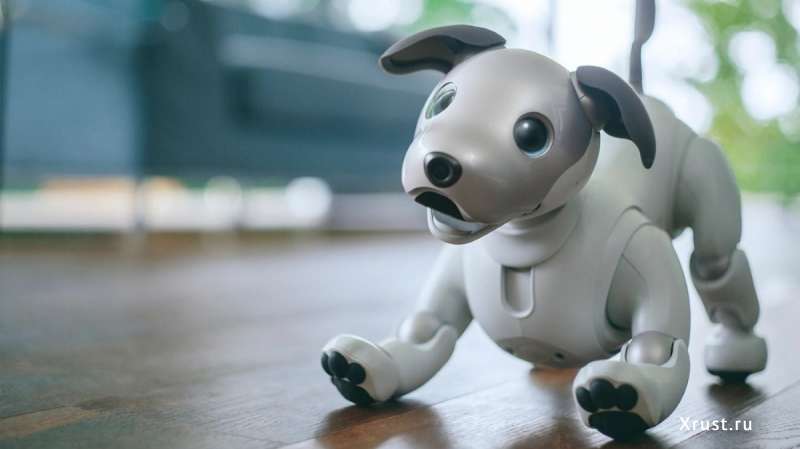 Sony возобновит производство робота-собаки AIBO