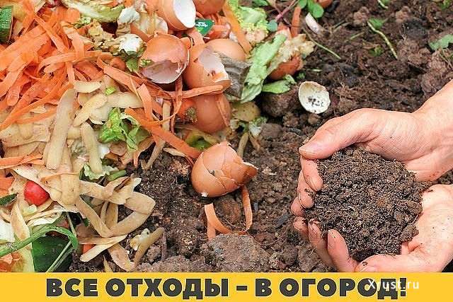 Все отходы в огород