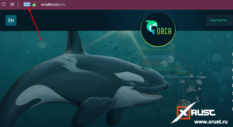 Casino orca или как выиграть в игровые автоматы