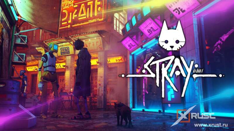 Обзор игры Stray